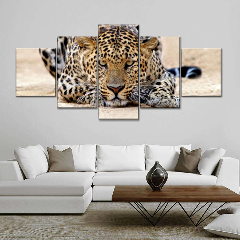 Watchful Jaguar Wall Art