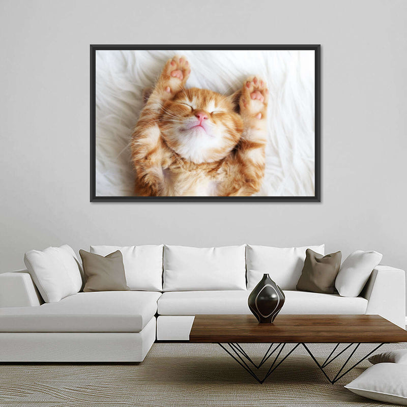 Sleepy Kitty Wall Art