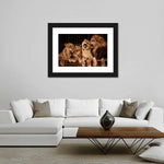 Pride Of Lions Wall Art