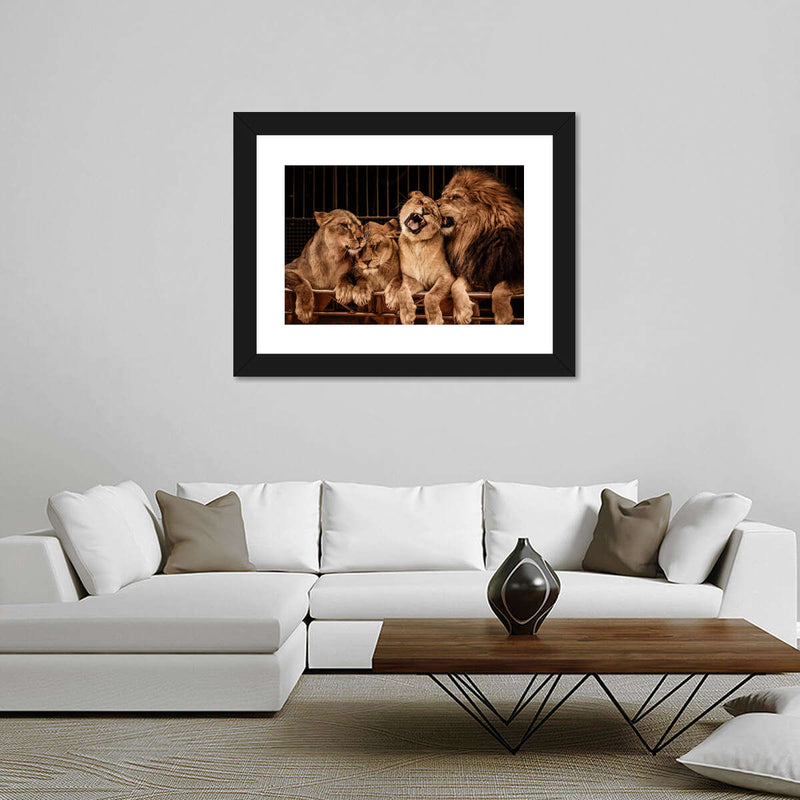 Pride Of Lions Wall Art