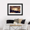 Sepia Lotus Flower Wall Art
