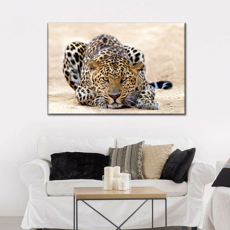 Watchful Jaguar Wall Art