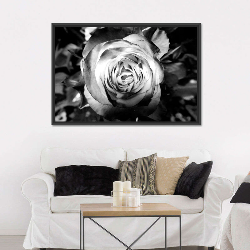 Monochromatic Rose Wall Art