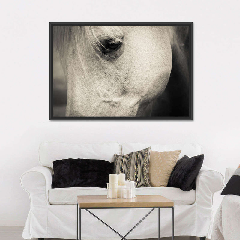 White Horse Eye Wall Art