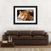 Leopard Gaze Wall Art