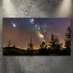 Tree Nature Canvas Wall Art