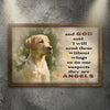 Angels Without Wings Pet Memorial Sign