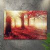 Red Maple Sunrise Path Canvas Wall Art