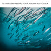 Vibrant Ocean Fish Canvas Wall Art