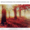 Red Maple Sunrise Path Canvas Wall Art