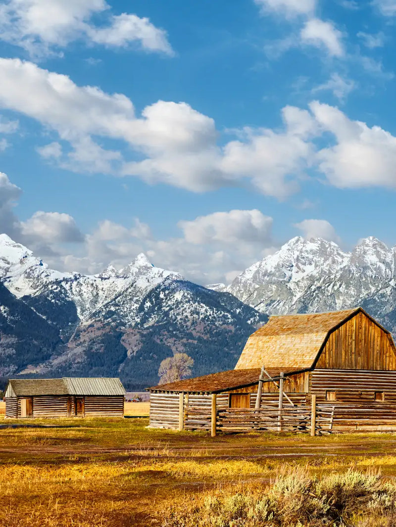 Teton Range Moulton Barn Wall Art