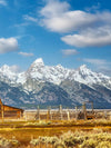 Teton Range Moulton Barn Wall Art