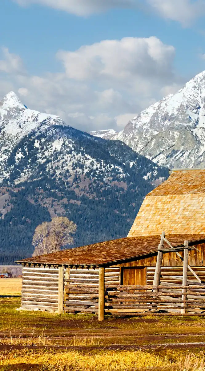 Teton Range Moulton Barn Wall Art