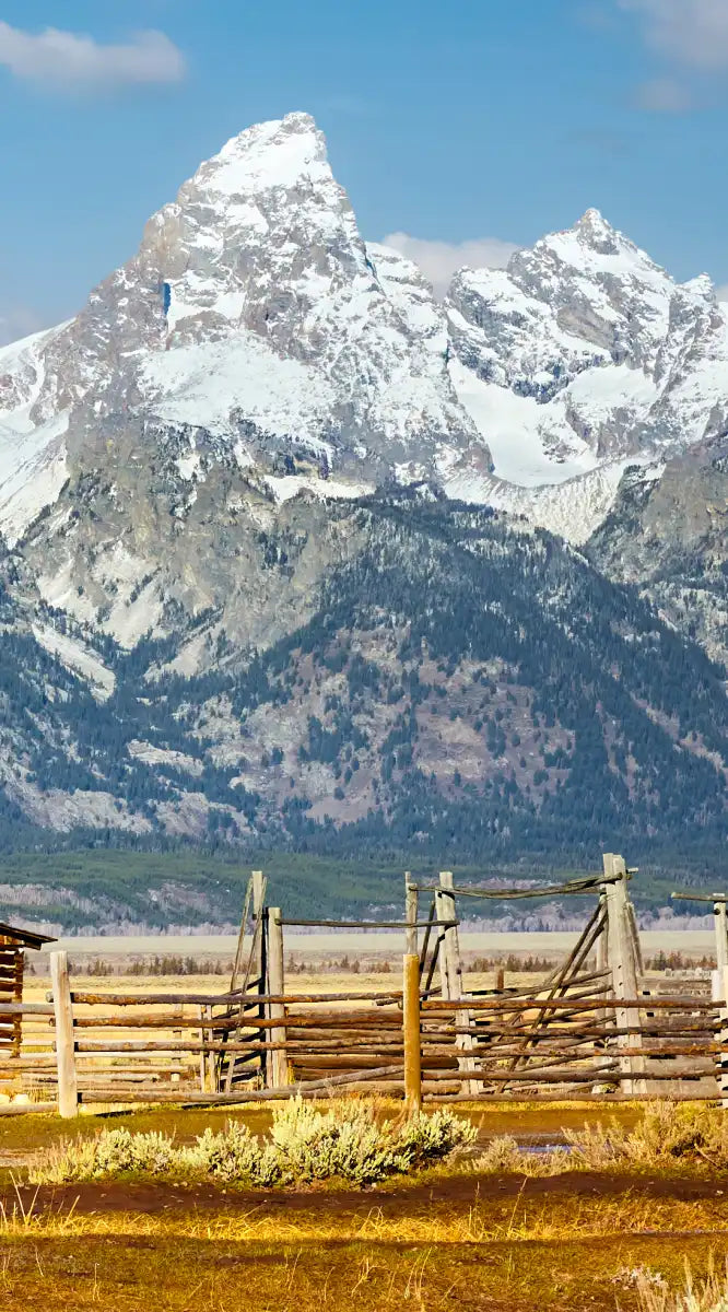 Teton Range Moulton Barn Wall Art