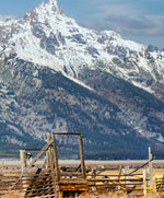 Teton Range Moulton Barn Wall Art