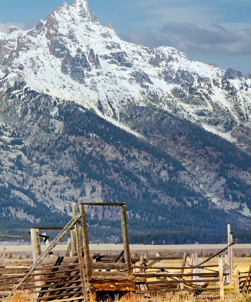 Teton Range Moulton Barn Wall Art