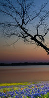 Texas Sunset Wall Art