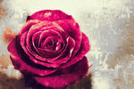 Textured Grunge Rose Wall Art