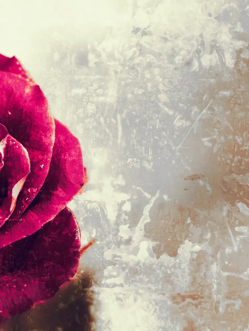 Textured Grunge Rose Wall Art