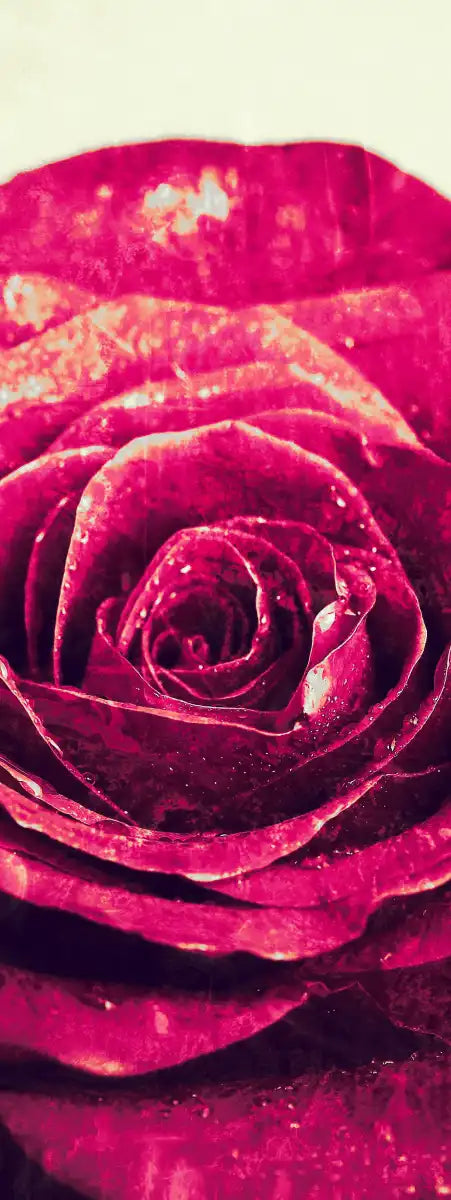 Textured Grunge Rose Wall Art