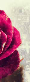Textured Grunge Rose Wall Art