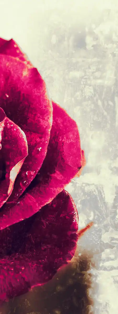 Textured Grunge Rose Wall Art