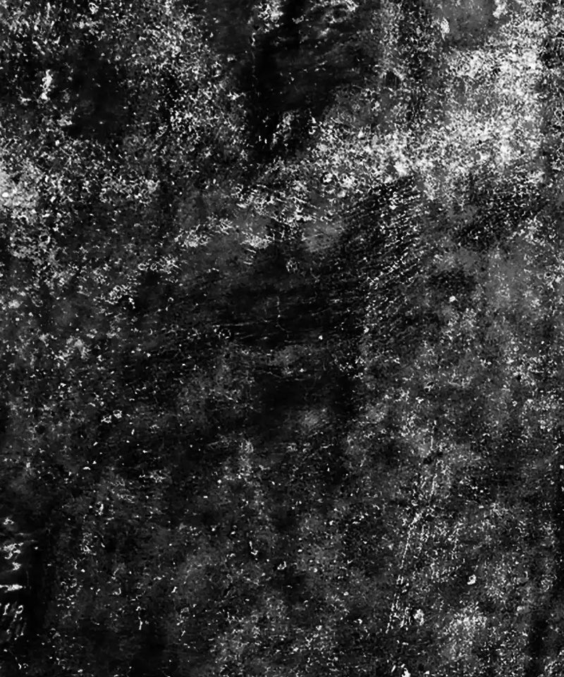 Textured White Tiger Wall Art