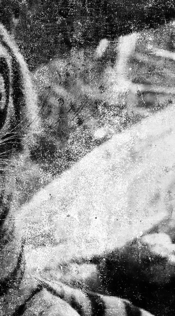 Textured White Tiger Wall Art