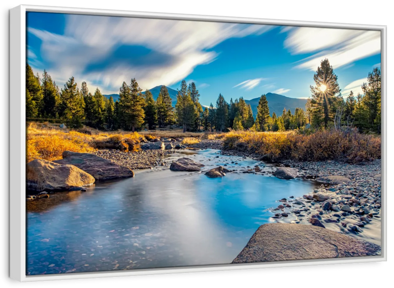Yosemite River Stream Wall Art
