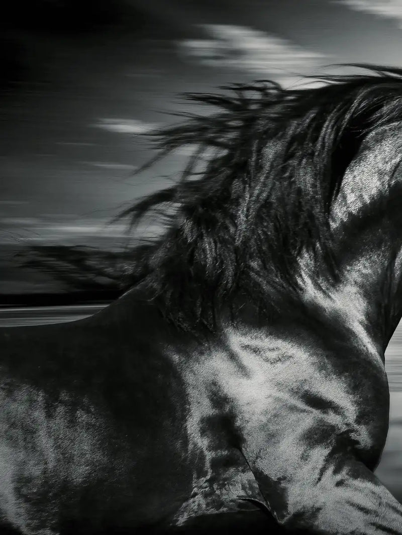 Thoroughbred Wall Art