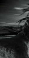 Thoroughbred Wall Art
