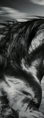Thoroughbred Wall Art
