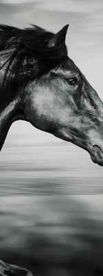 Thoroughbred Wall Art