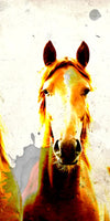 Three Horse Heads Wall Art