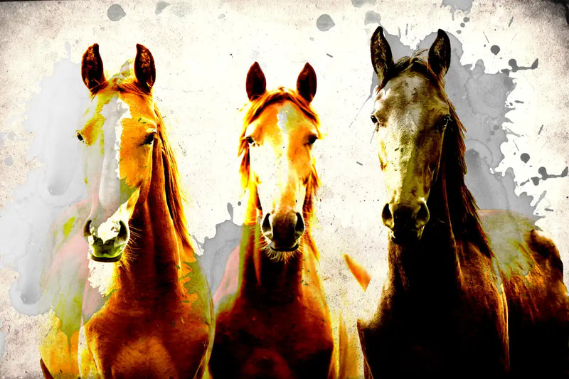 Three Horse Heads Wall Art
