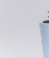 Three Succulents Wall Art