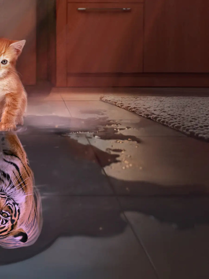 Tiger Kitty Wall Art