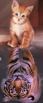 Tiger Kitty Wall Art