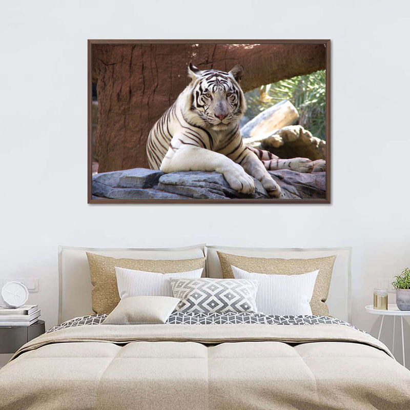 Resting White Tiger Wall Art