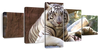 Resting White Tiger Wall Art