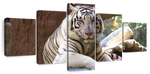 Resting White Tiger Wall Art