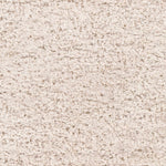 Siari Solid Oatmeal Shag Rug