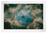Sandy Underwater Starfish Wall Art