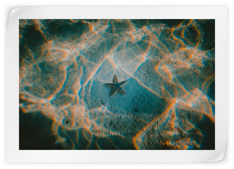 Sandy Underwater Starfish Wall Art