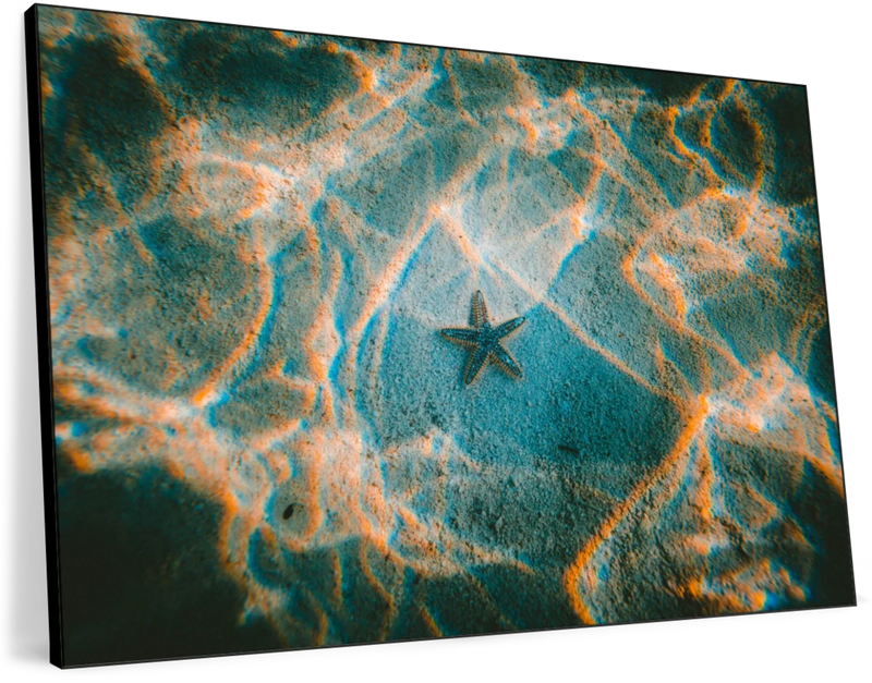 Sandy Underwater Starfish Wall Art