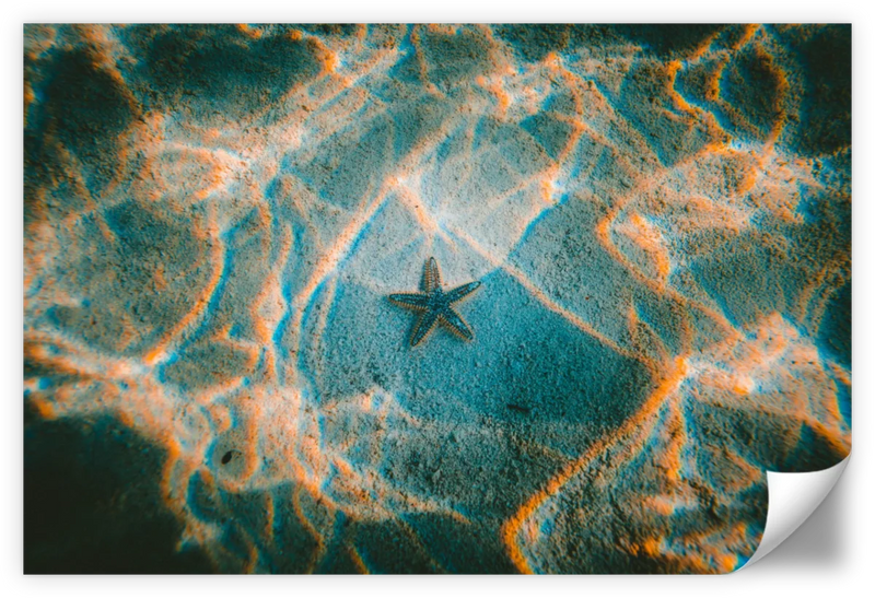 Sandy Underwater Starfish Wall Art