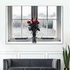 Rose Anticipation Wall Art