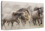 Wild Horse Stampede Wall Art