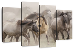 Wild Horse Stampede Wall Art