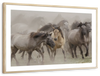 Wild Horse Stampede Wall Art